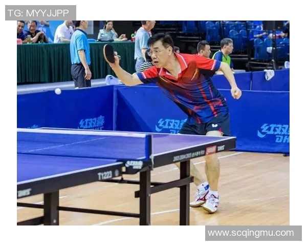 南京乒乓球队区域防守革新探索与实践的深度解析与展望