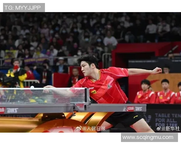 南京乒乓球队在世界杯预选赛中的技术表现分析与总结
